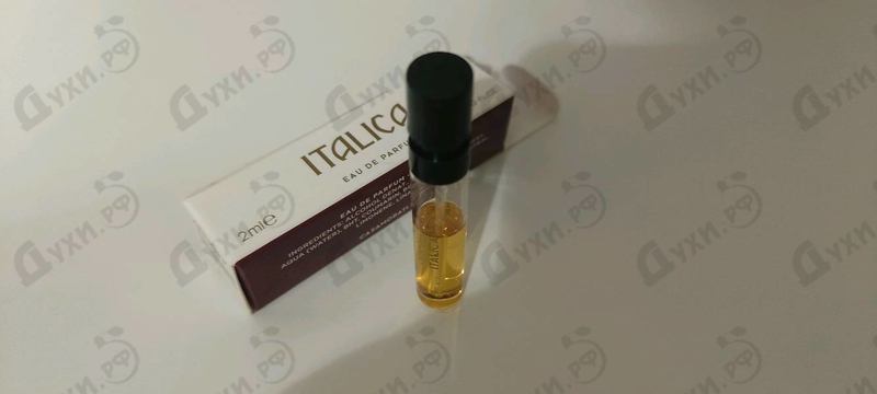 Купить Italica от Xerjoff