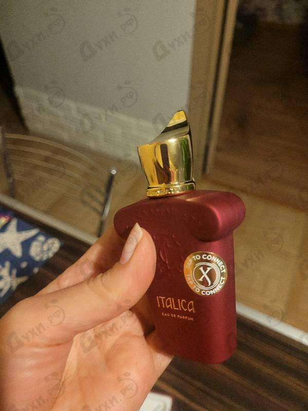 Купить Italica от Xerjoff