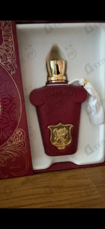 Отзыв Xerjoff Italica