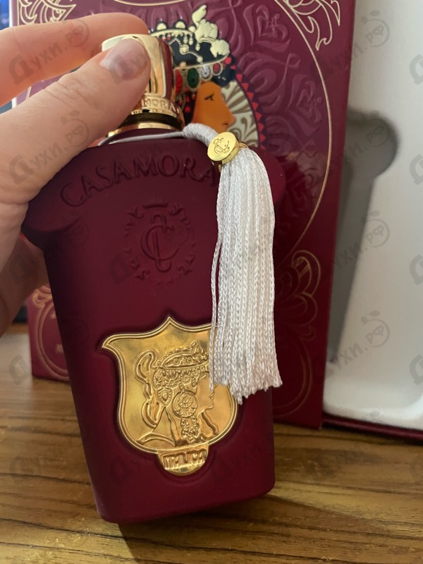 Парфюмерия Italica от Xerjoff