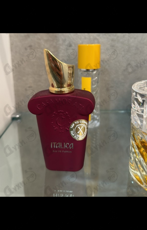 Парфюмерия Italica от Xerjoff