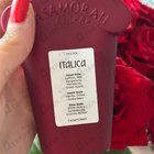 Духи Italica от Xerjoff