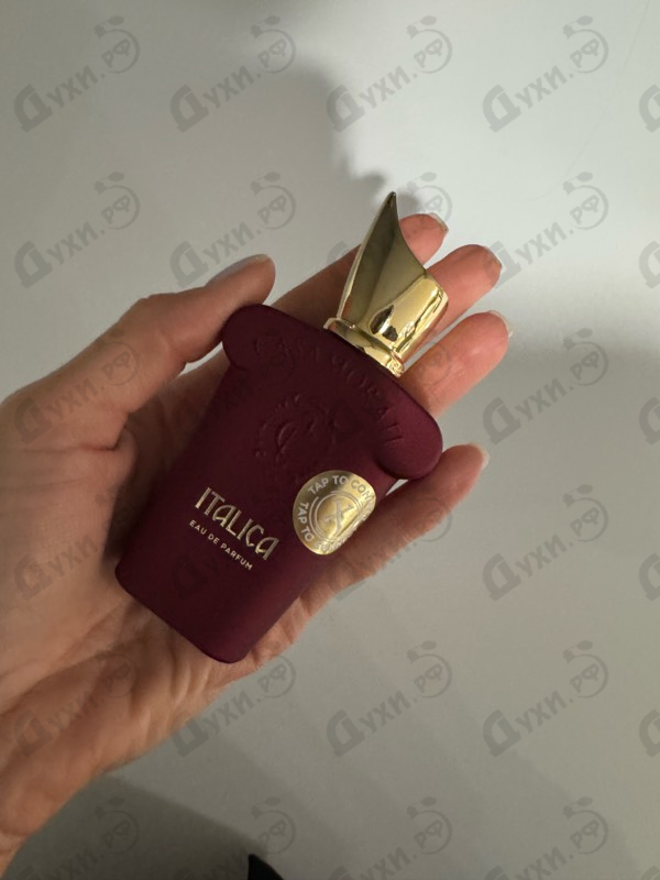 Отзыв Xerjoff Italica