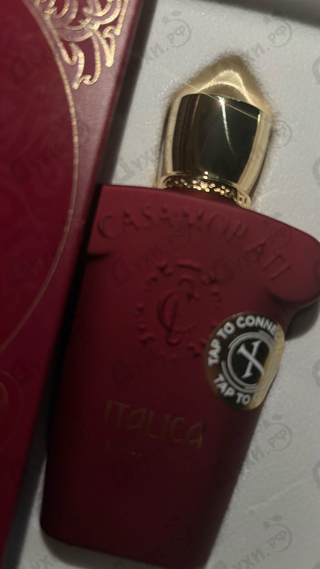 Духи Italica от Xerjoff