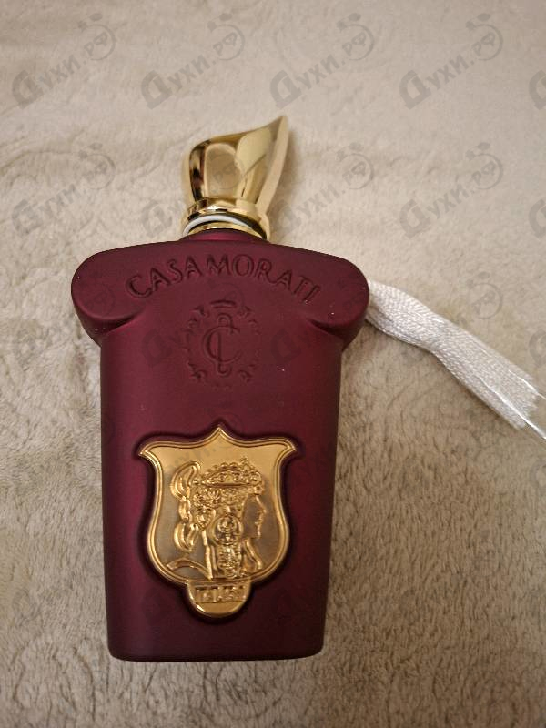 Духи Italica от Xerjoff