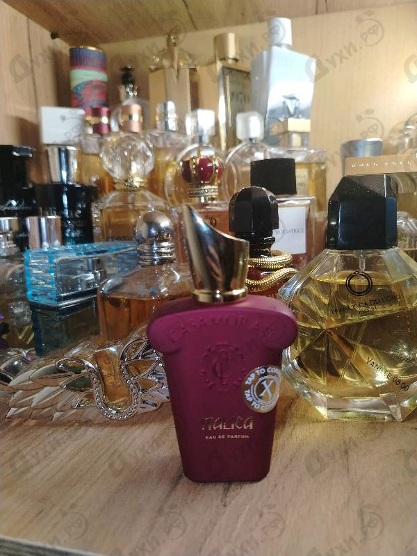 Отзывы Xerjoff Italica