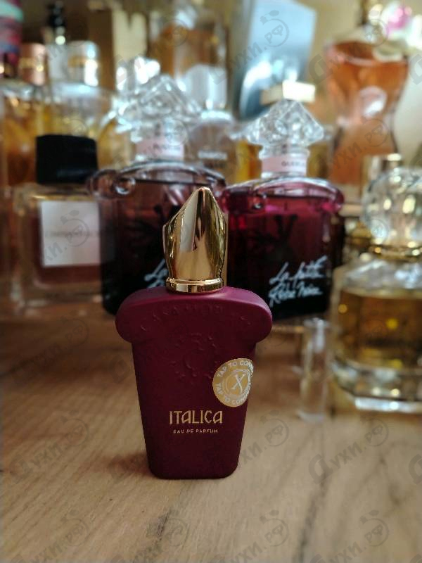 Духи Italica от Xerjoff