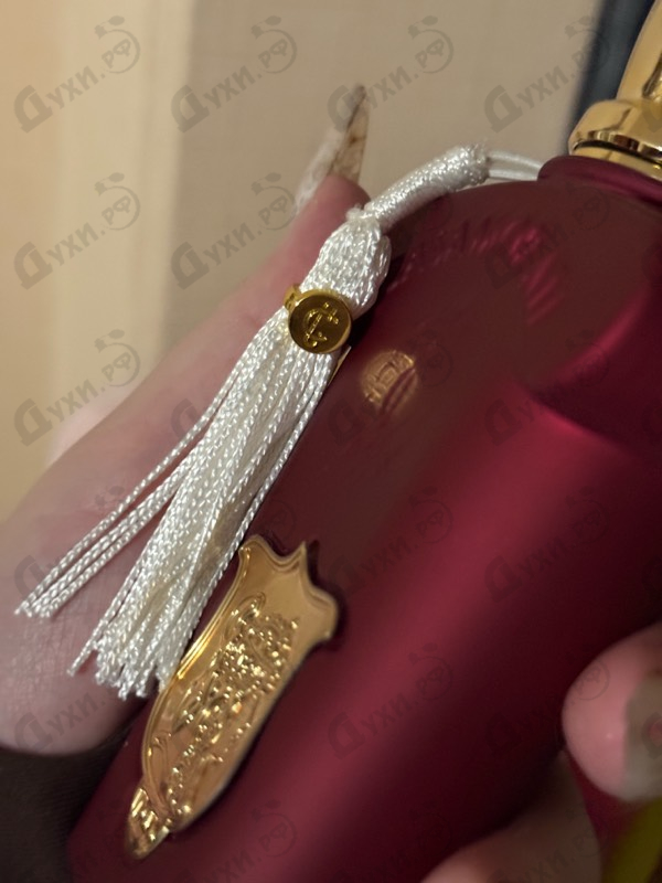 Отзывы Xerjoff Italica