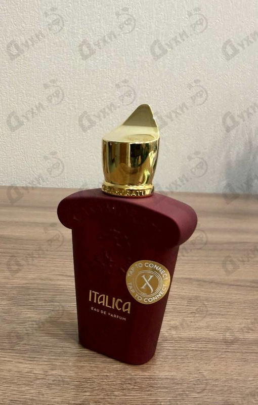 Купить Italica от Xerjoff