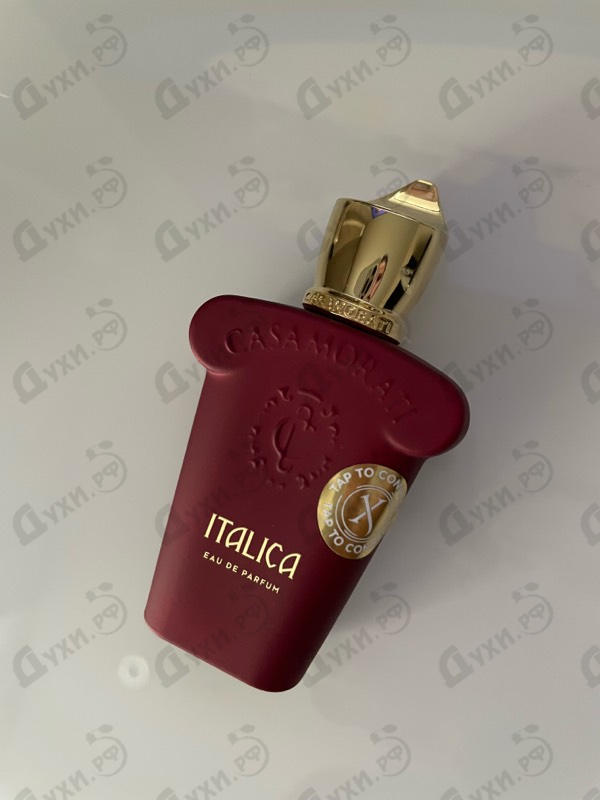 Купить Xerjoff Italica