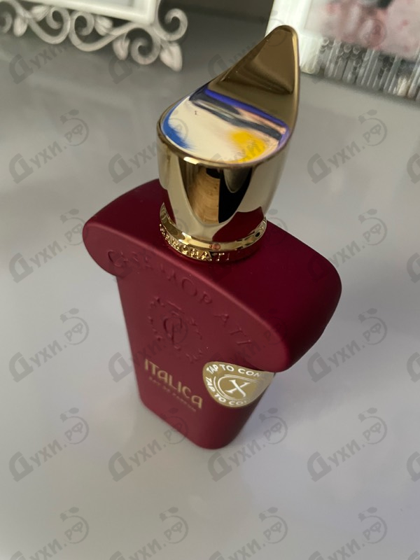 Купить Xerjoff Italica