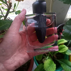 Отзыв Shiseido Ginza