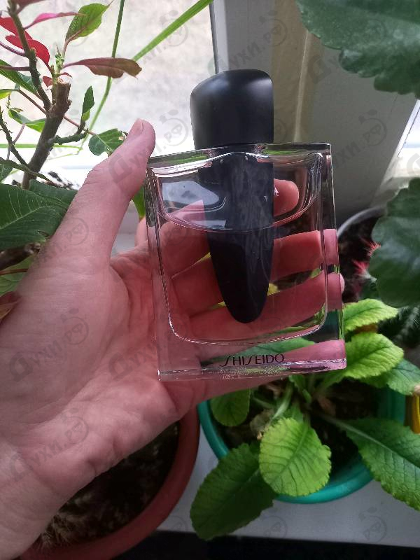 Купить Ginza от Shiseido