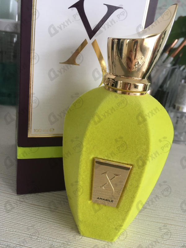 Духи Amabile от Xerjoff Отзыв Xerjoff Amabile