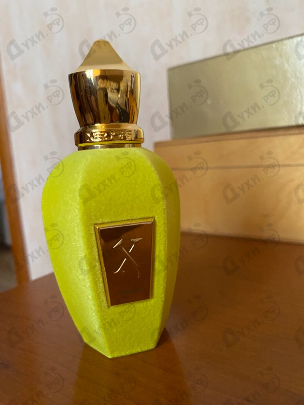 Отзывы Xerjoff Amabile