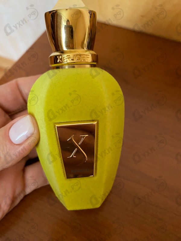 Духи Amabile от Xerjoff