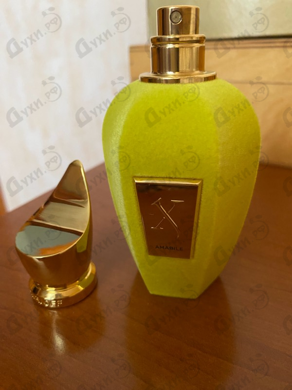 Купить Amabile от Xerjoff