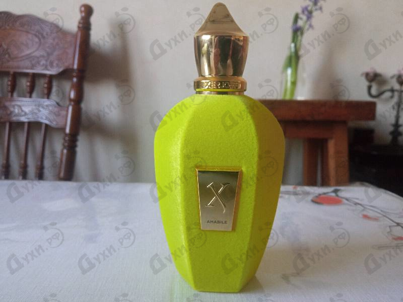 Духи Amabile от Xerjoff