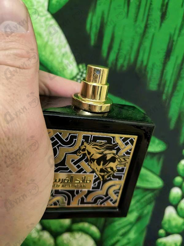 Отзывы Lattafa Perfumes Qaed Al Fursan