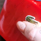 Отзыв Lacoste L.12.12 Rouge Energetic