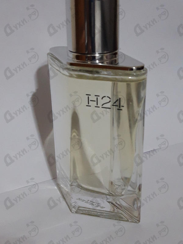 Отзывы Hermes H24