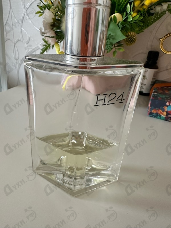 Отзывы Hermes H24