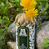Духи Floral Musk от Attar Collection