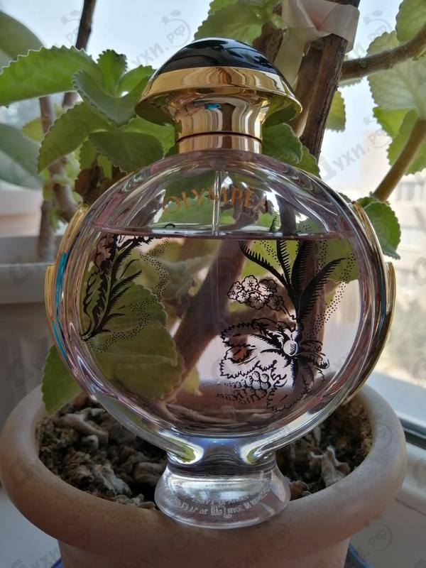 Купить Olympea Blossom от Paco Rabanne Отзыв Paco Rabanne Olympea Blossom