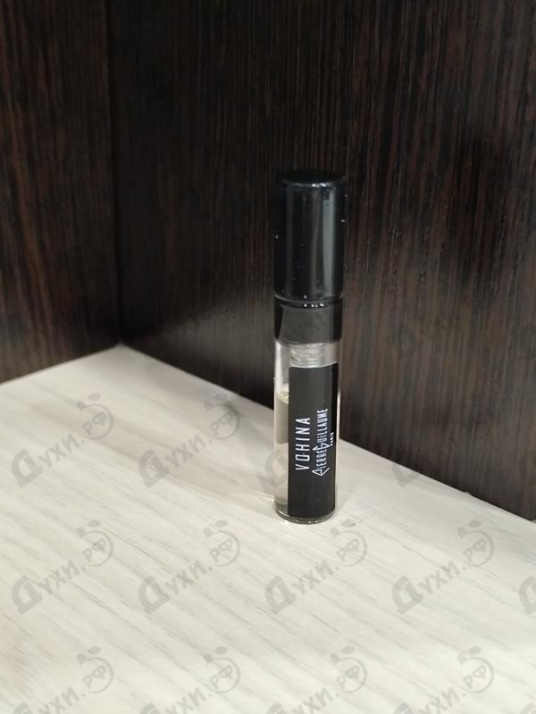 Купить Pierre Guillaume Vohina