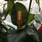 Отзывы Micallef EdenFalls