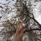 Парфюм Brocard Dark Delight