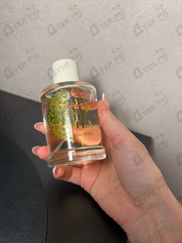 Купить Brocard Early Morning