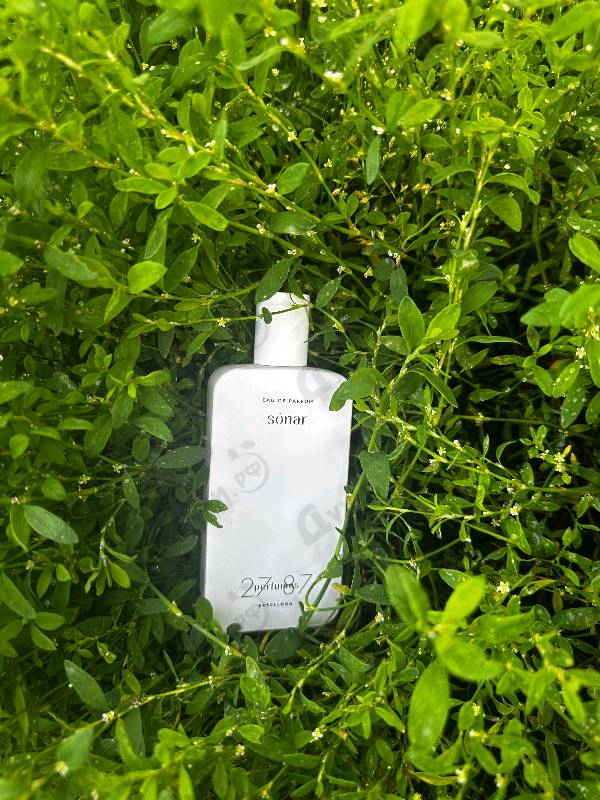 Парфюмерия Sonar от 27 87