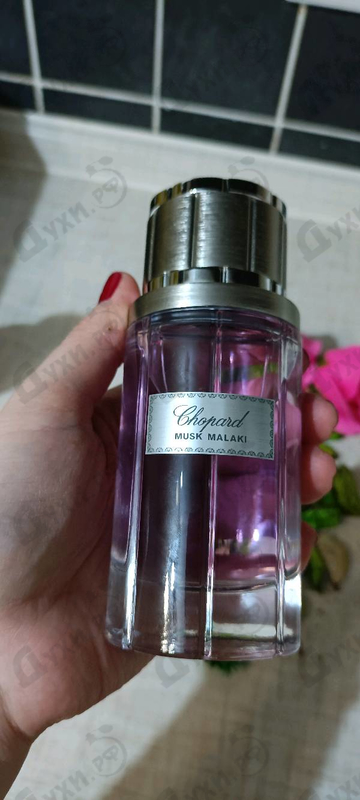 Парфюмерия Musk Malaki от Chopard Отзыв Chopard Musk Malaki