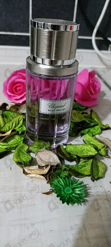 Парфюм Chopard Musk Malaki Купить Musk Malaki от Chopard