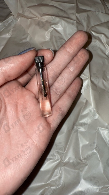 Парфюмерия Velvet Oriental Musk от Dolce & Gabbana