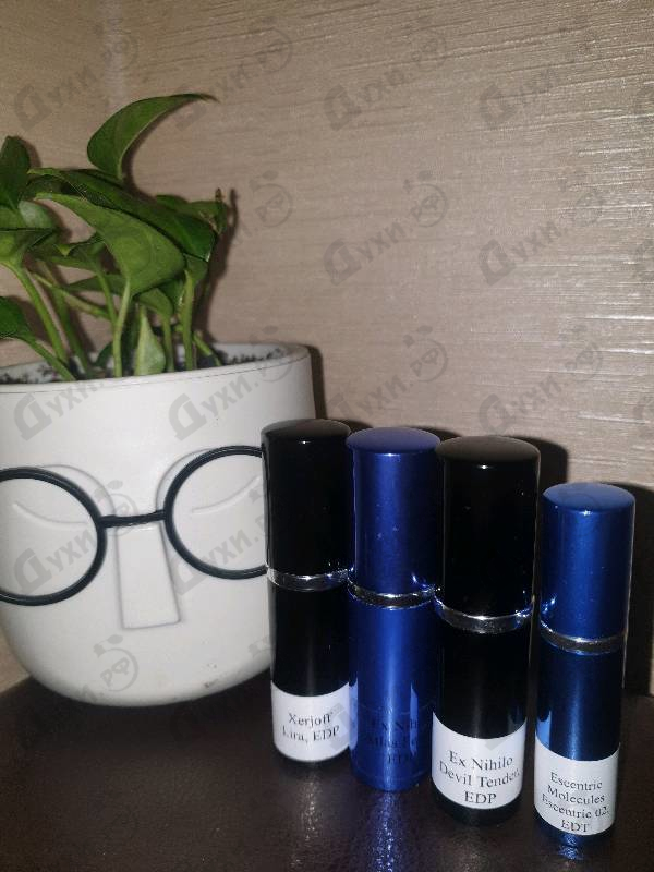 Отзыв Ex Nihilo Atlas Fever