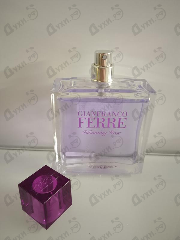 Купить Blooming Rose от Ferre