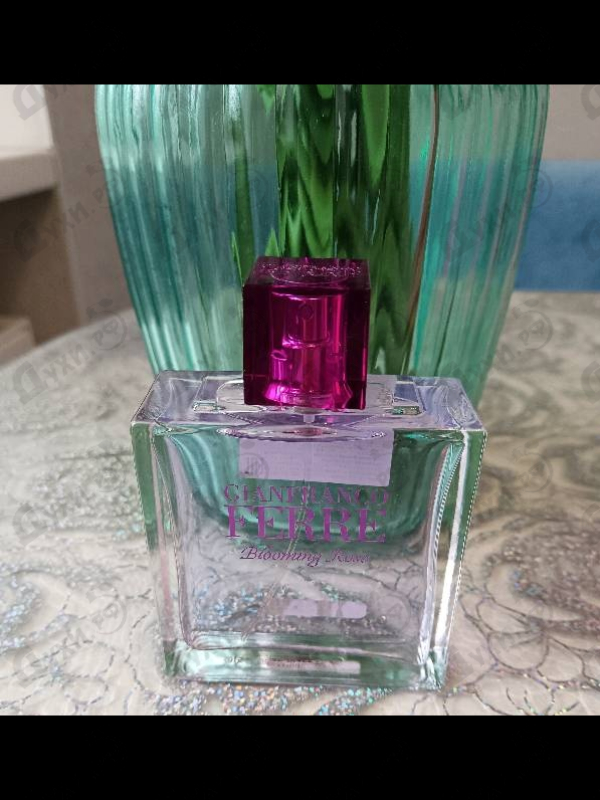 Купить Ferre Blooming Rose