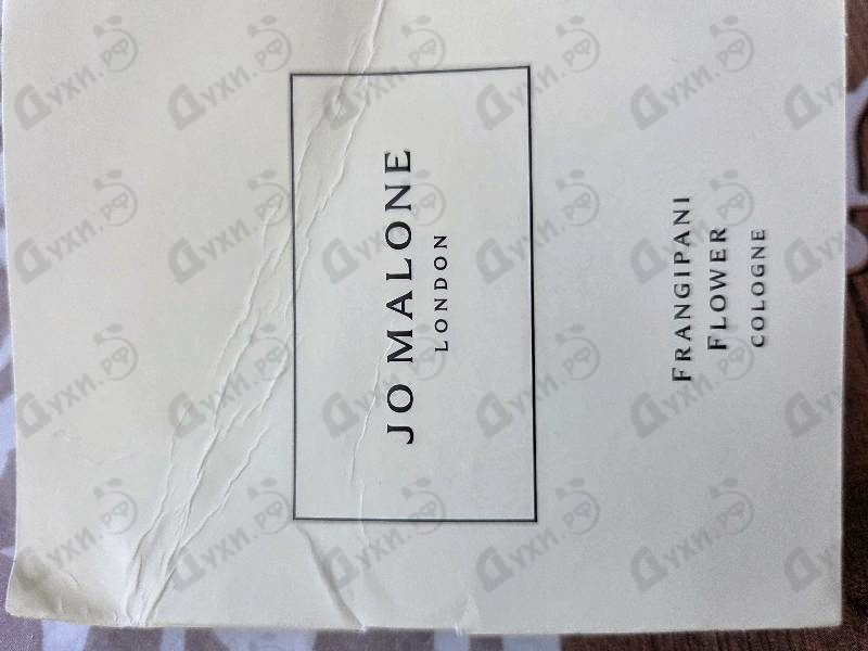 Купить Jo Malone Frangipani Flower