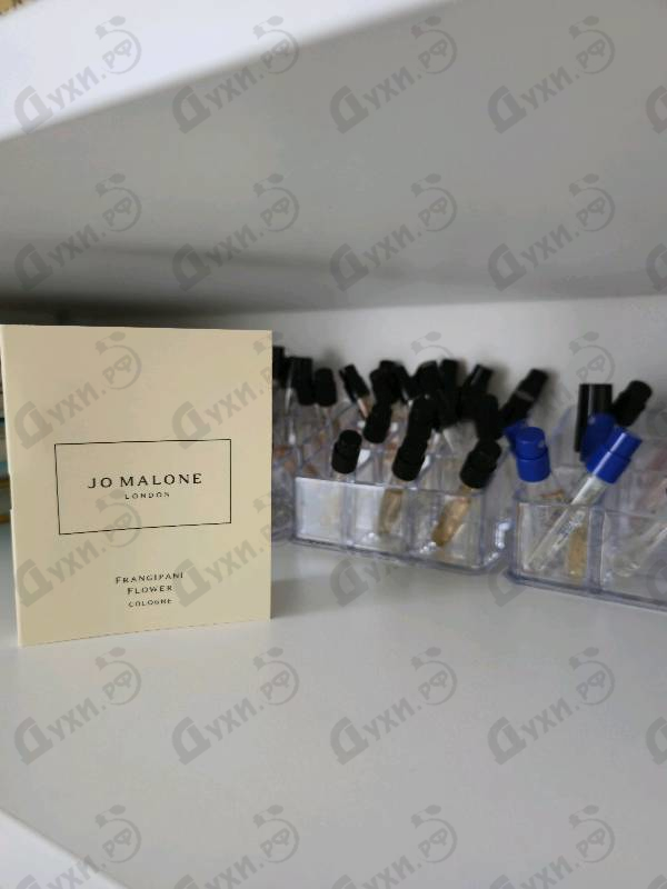 Купить Frangipani Flower от Jo Malone