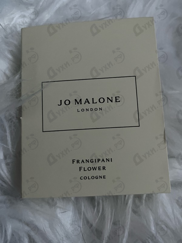 Купить Frangipani Flower от Jo Malone