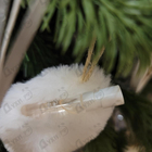 Парфюм Lancome Pivoines Printemps