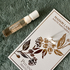 Парфюмерия Pivoines Printemps от Lancome