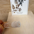 Парфюмерия Pivoines Printemps от Lancome