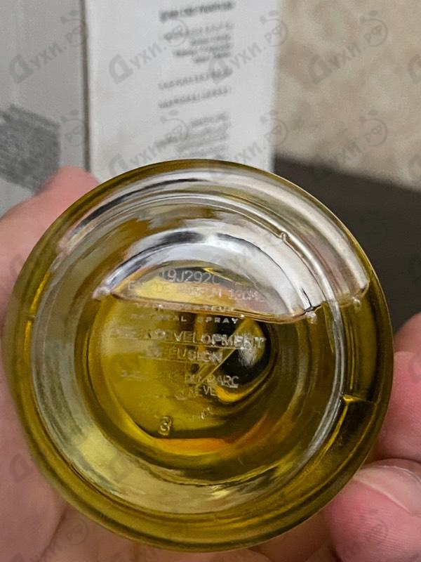 Отзывы Mancera Soleil D'Italie Духи Soleil D'Italie от Mancera