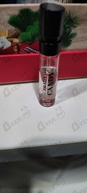 Купить Candy Night от Prada