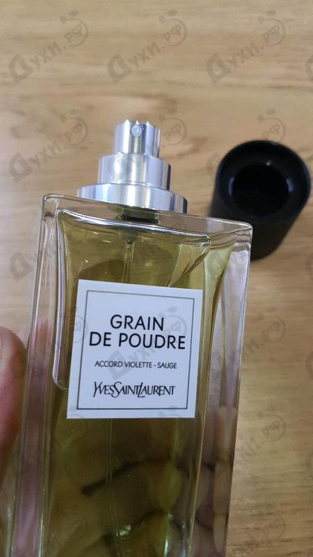 Купить Yves Saint Laurent Grain de Poudre