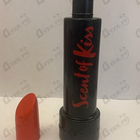 Духи Scent Of Kiss от Armand Basi