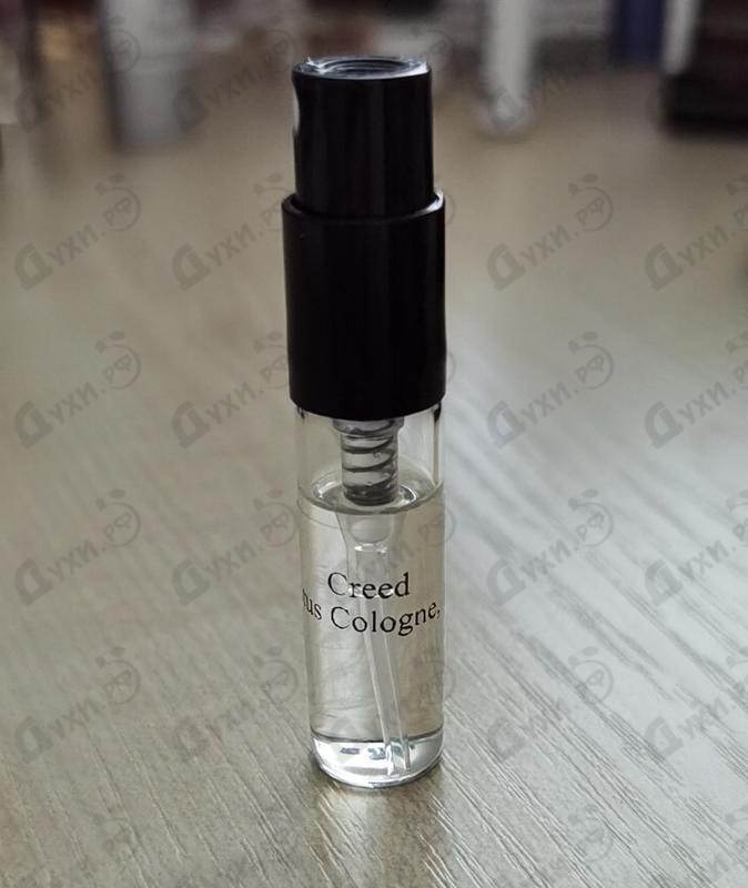 Купить Creed Aventus Cologne